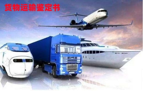 貨物運(yùn)輸條件鑒定書(shū) 辦理途徑與現(xiàn)場(chǎng)鑒定適用范圍詳解